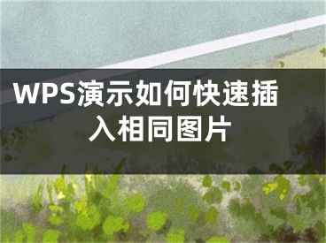 WPS演示如何快速插入相同图片