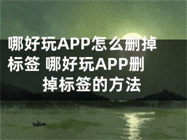 哪好玩APP怎么删掉标签 哪好玩APP删掉标签的方法