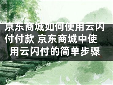 京东商城如何使用云闪付付款 京东商城中使用云闪付的简单步骤