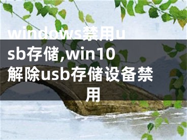 windows禁用usb存储,win10解除usb存储设备禁用