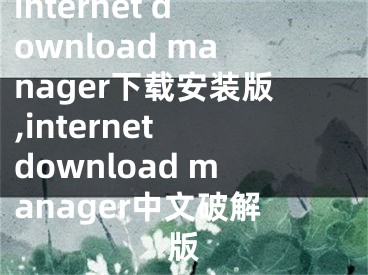 internet download manager下载安装版,internet download manager中文破解版