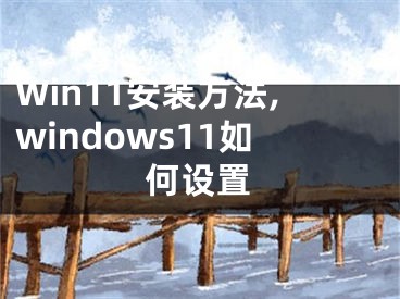 Win11安装方法,windows11如何设置