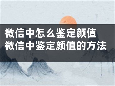 微信中怎么鉴定颜值 微信中鉴定颜值的方法