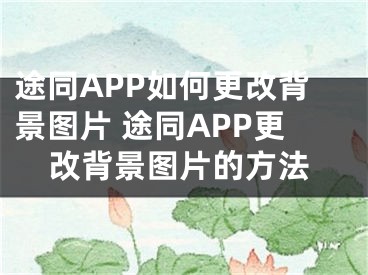 途同APP如何更改背景图片 途同APP更改背景图片的方法