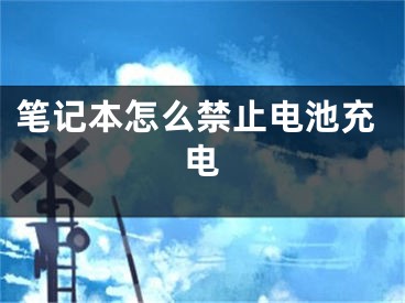 笔记本怎么禁止电池充电