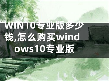 WIN10专业版多少钱,怎么购买windows10专业版