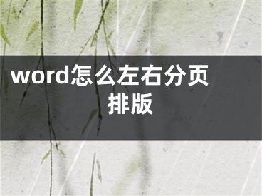 word怎么左右分页排版