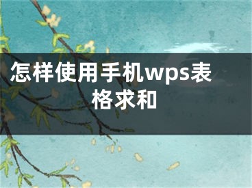 怎样使用手机wps表格求和