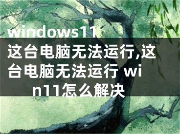 windows11 这台电脑无法运行,这台电脑无法运行 win11怎么解决