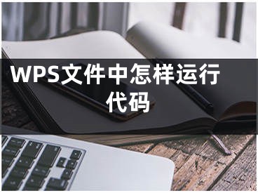 WPS文件中怎样运行代码