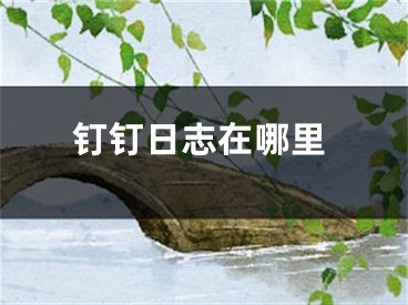 钉钉日志在哪里