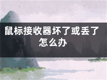 鼠标接收器坏了或丢了怎么办