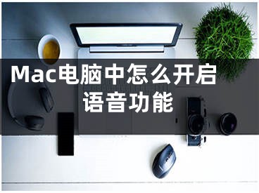 Mac电脑中怎么开启语音功能