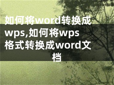 如何将word转换成wps,如何将wps格式转换成word文档