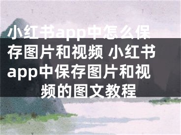 小红书app中怎么保存图片和视频 小红书app中保存图片和视频的图文教程