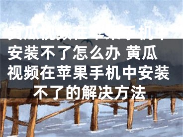 黄瓜视频在苹果手机中安装不了怎么办 黄瓜视频在苹果手机中安装不了的解决方法