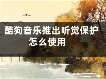 酷狗音乐推出听觉保护怎么使用 