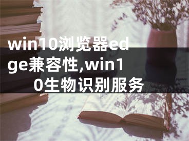 win10浏览器edge兼容性,win10生物识别服务