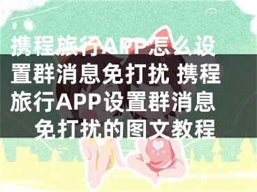 携程旅行APP怎么设置群消息免打扰 携程旅行APP设置群消息免打扰的图文教程