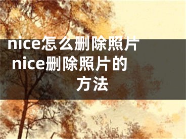 nice怎么删除照片 nice删除照片的方法