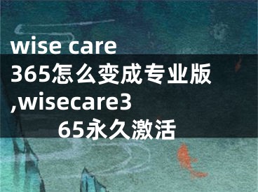 wise care 365怎么变成专业版,wisecare365永久激活