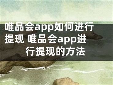 唯品会app如何进行提现 唯品会app进行提现的方法