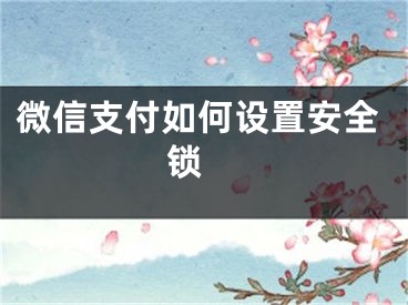 微信支付如何设置安全锁 