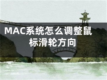 MAC系统怎么调整鼠标滑轮方向