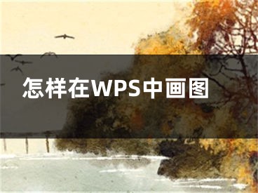 怎样在WPS中画图