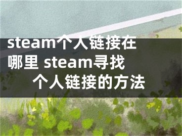 steam个人链接在哪里 steam寻找个人链接的方法