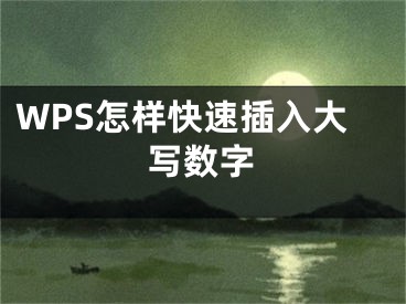 WPS怎样快速插入大写数字