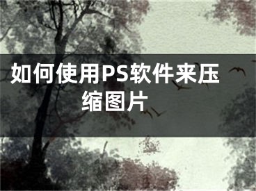 如何使用PS软件来压缩图片 