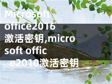 Microsoft office2016激活密钥,microsoft office2010激活密钥