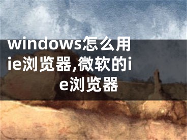 windows怎么用ie浏览器,微软的ie浏览器