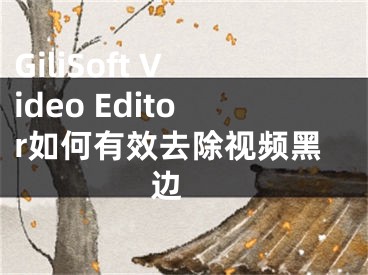 GiliSoft Video Editor如何有效去除视频黑边 