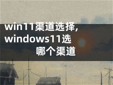 win11渠道选择,windows11选哪个渠道