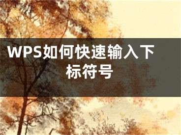 WPS如何快速输入下标符号