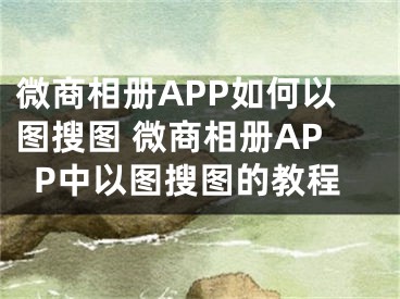 微商相册APP如何以图搜图 微商相册APP中以图搜图的教程