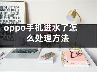 oppo手机进水了怎么处理方法