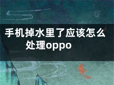 手机掉水里了应该怎么处理oppo