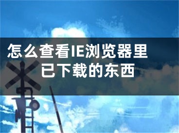 怎么查看IE浏览器里已下载的东西