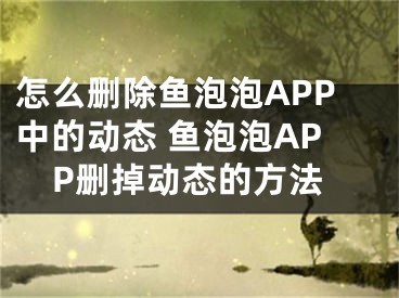 怎么删除鱼泡泡APP中的动态 鱼泡泡APP删掉动态的方法