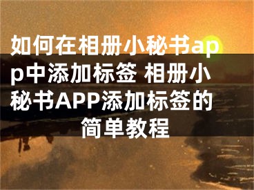 如何在相册小秘书app中添加标签 相册小秘书APP添加标签的简单教程