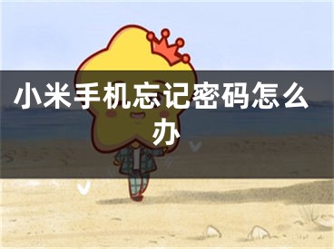 小米手机忘记密码怎么办