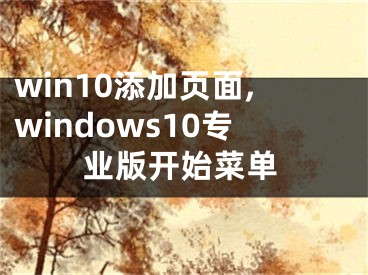win10添加页面,windows10专业版开始菜单