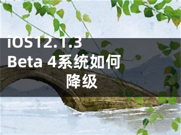 iOS12.1.3 Beta 4系统如何降级 