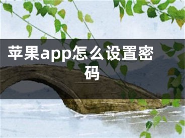 苹果app怎么设置密码