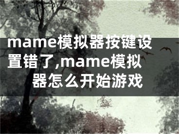 mame模拟器按键设置错了,mame模拟器怎么开始游戏