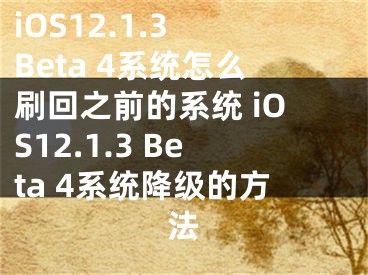 iOS12.1.3 Beta 4系统怎么刷回之前的系统 iOS12.1.3 Beta 4系统降级的方法