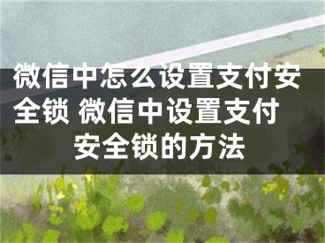 微信中怎么设置支付安全锁 微信中设置支付安全锁的方法